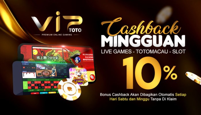 Informasi lengkap tentang akun VIP di Chutogel